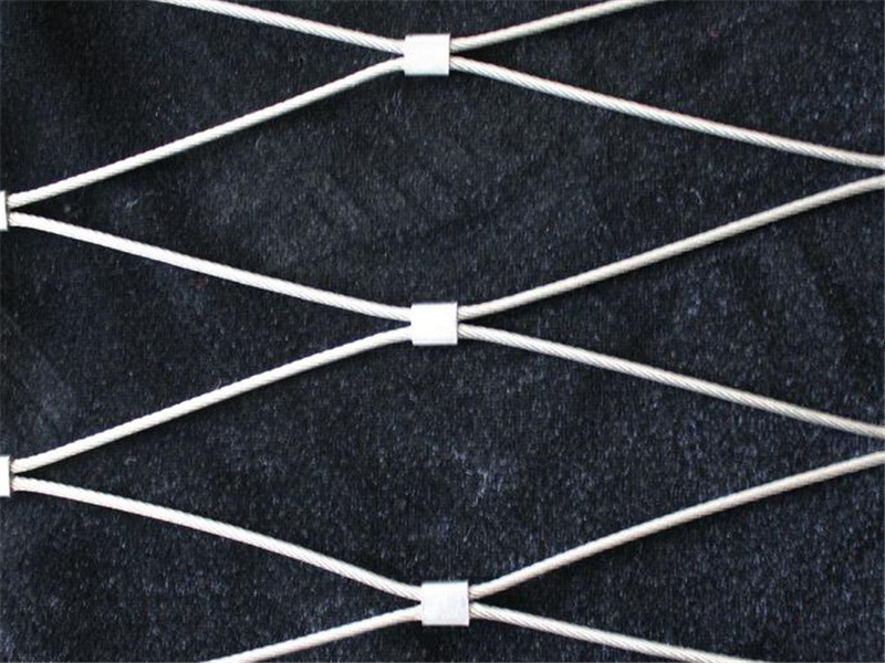 1552544387425808.jpg 不銹鋼繩絲網.JPG