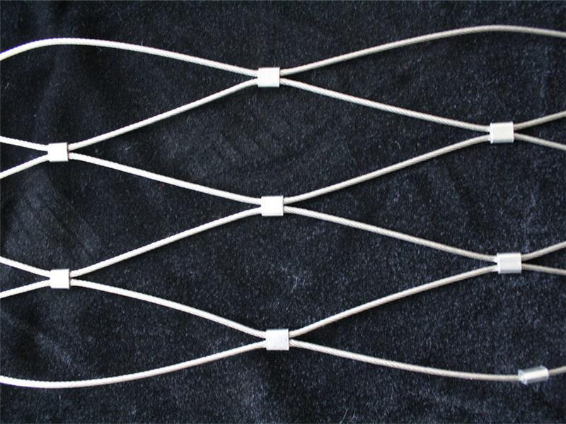 1552544402281842.jpg 不銹鋼繩網.JPG